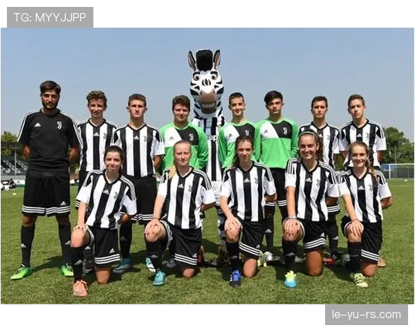 南美足球青训体系